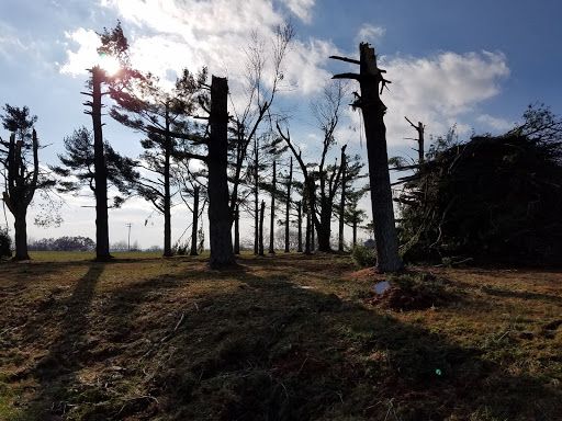 Golf Course «Scenic View Golf Course», reviews and photos, 3992 Aedc Rd, Winchester, TN 37398, USA