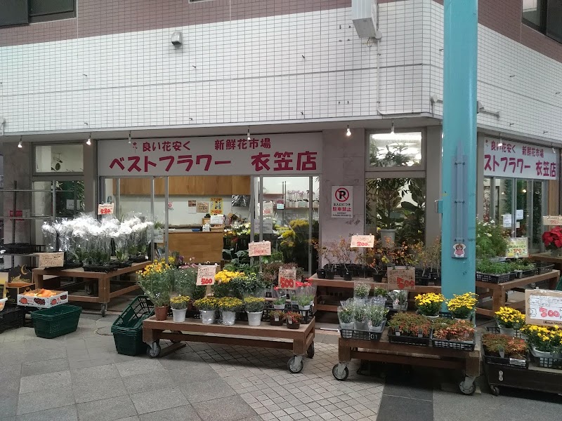 ベストフラワー 衣笠店