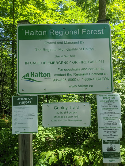 Halton Region Forest - Conley Tract