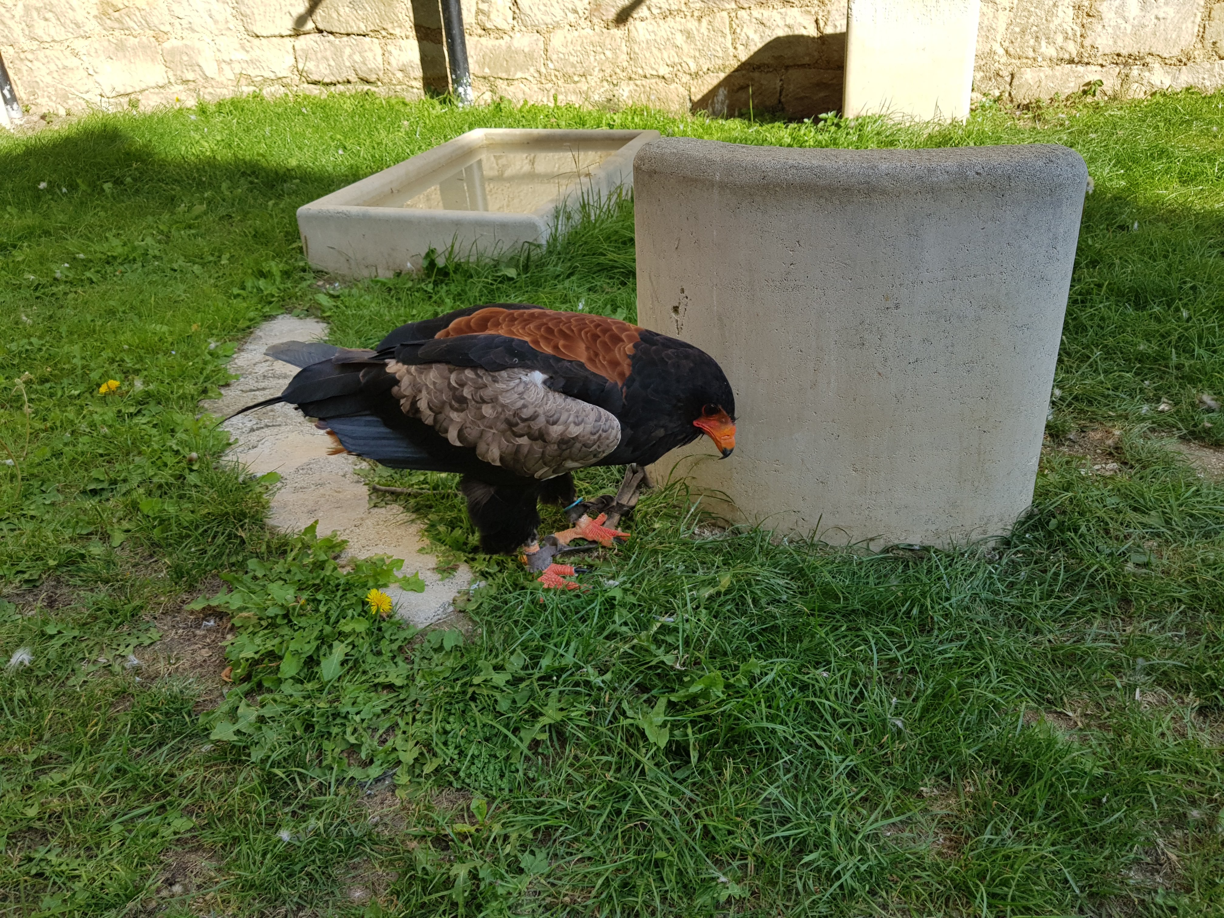 Photo n° 25 de l'avis de Alexandre.L fait le 24/09/2017 à 17:00