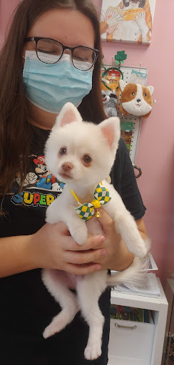 Pet Groomer «Furry Tails Pet Grooming», reviews and photos, 865 Cypress Pkwy, Poinciana, FL 34759, USA