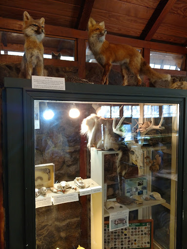 Nature Preserve «Autrey Mill Nature Preserve & Heritage Center», reviews and photos, 9770 Autrey Mill Rd, Johns Creek, GA 30022, USA