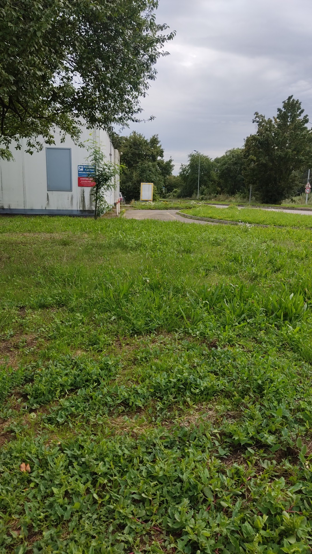 Photo n° 2 de l'avis de bobur.b fait le 05/08/2023 à 16:56
