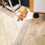 Photo n°1 de l'avis de Gianluca.i fait le 11/09/2019 à 18:30 sur le  Alpin Garden Luxury Maison & Spa - Adults Only à Urtijëi