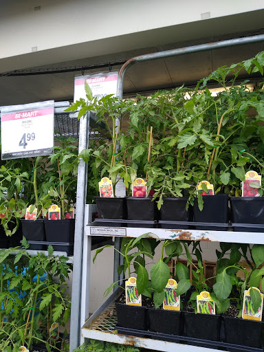 Discount Store «Bi-Mart», reviews and photos, 1600 Mt Hood Ave, Woodburn, OR 97071, USA