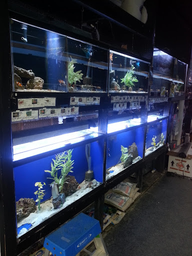 Pet Store «Laconia Pet Center», reviews and photos, 1343 Union Ave, Laconia, NH 03246, USA