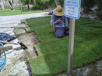Smart Creations Landscaping and Irrigation Services - Photo 5 - Car repair in , Glendale