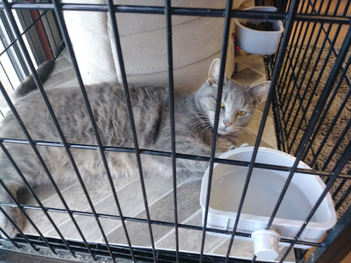 Pet Supply Store «Pet Valu», reviews and photos, 449 Colemans Crossing Blvd, Marysville, OH 43040, USA