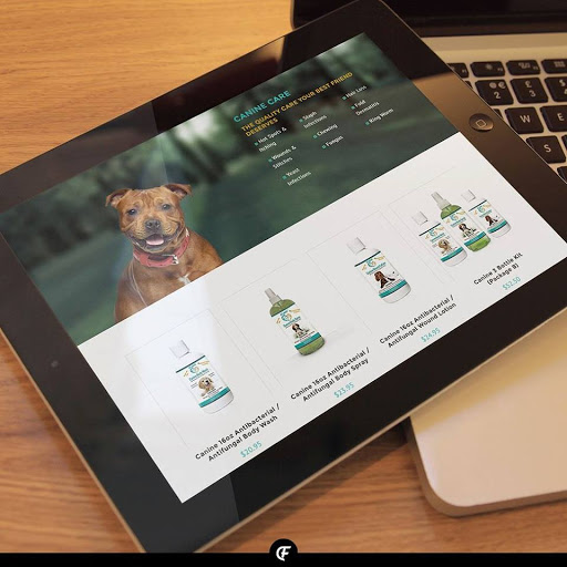 Design Fleek Web Design Agency image