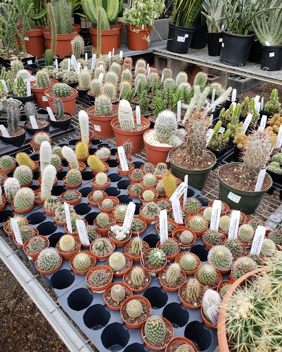 Plant Nursery «Goldner Walsh Garden and Home», reviews and photos, 559 Orchard Lake Rd, Pontiac, MI 48341, USA