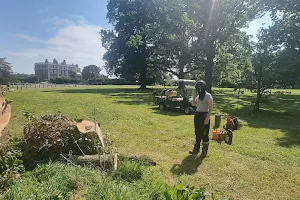 3 Counties Tree Surgery and Forestry image