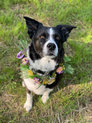 Florist «Wisteria Flowers & Gifts», reviews and photos, 360 Culver Rd, Rochester, NY 14607, USA