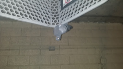 Grocery Store «Kroger», reviews and photos, 514 S Carrier Pkwy, Grand Prairie, TX 75051, USA