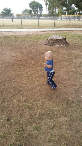 Park «Folley Memorial Park», reviews and photos, 601 E Frye Rd, Chandler, AZ 85225, USA