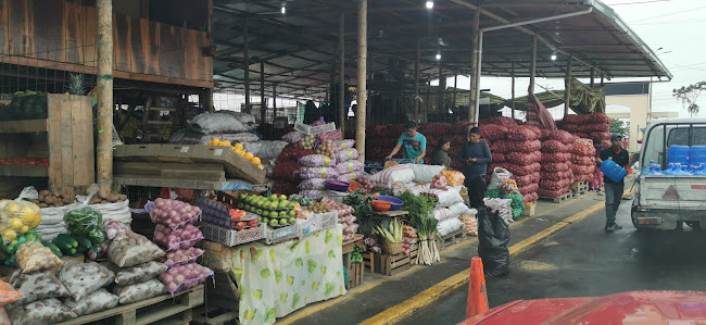 Mercado Mayorista - Santo Domingo de los Colorados