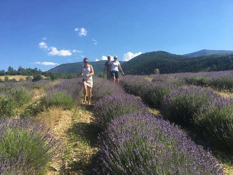 Photo n° 1 de l'avis de Lionel.e fait le 29/09/2017 à 07:18