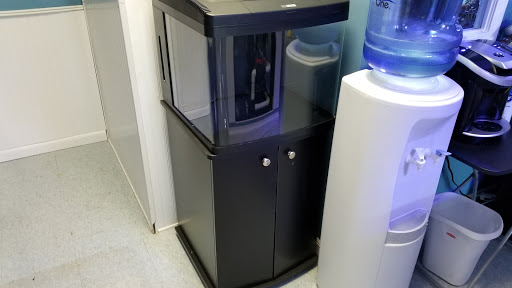 Tropical Fish Store «Beyond the Reef», reviews and photos, 205 W Golf Rd, Schaumburg, IL 60195, USA