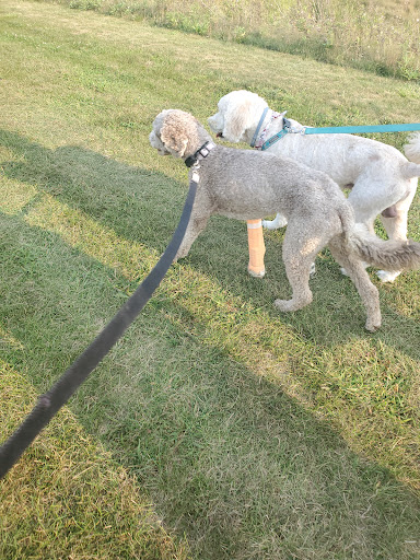 Darree Fields Dog Park image 6