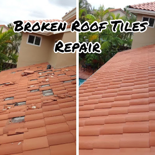 Pro Tech Roofing Contractor & Assoc Inc - Roofing Contractor in Miami, Florida
