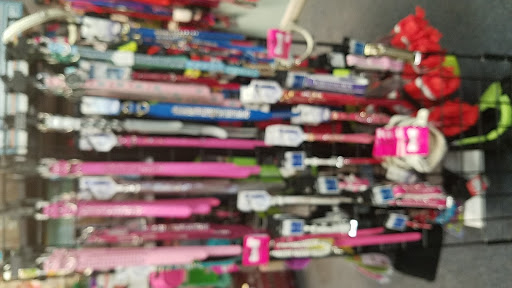 Pet Store «Island Dog», reviews and photos, 410 Mallery St, Saint Simons Island, GA 31522, USA