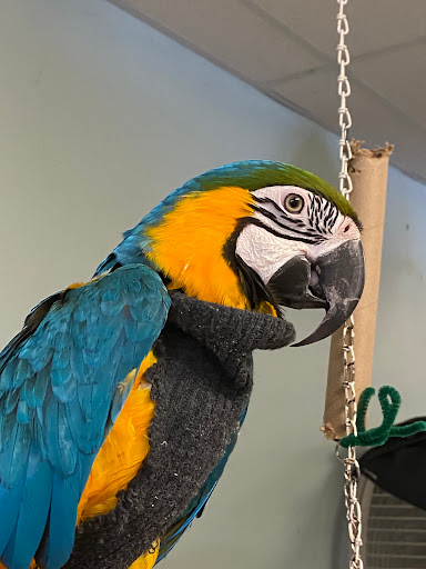 Florist «Floral Expressions», reviews and photos, 7914 Southern Maryland Blvd, Owings, MD 20736, USA