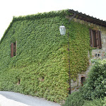 Photo n°1 de l'avis de Davide.u fait le 05/08/2018 à 17:10 sur le  Relais Villa Monte Solare à Colle San Paolo