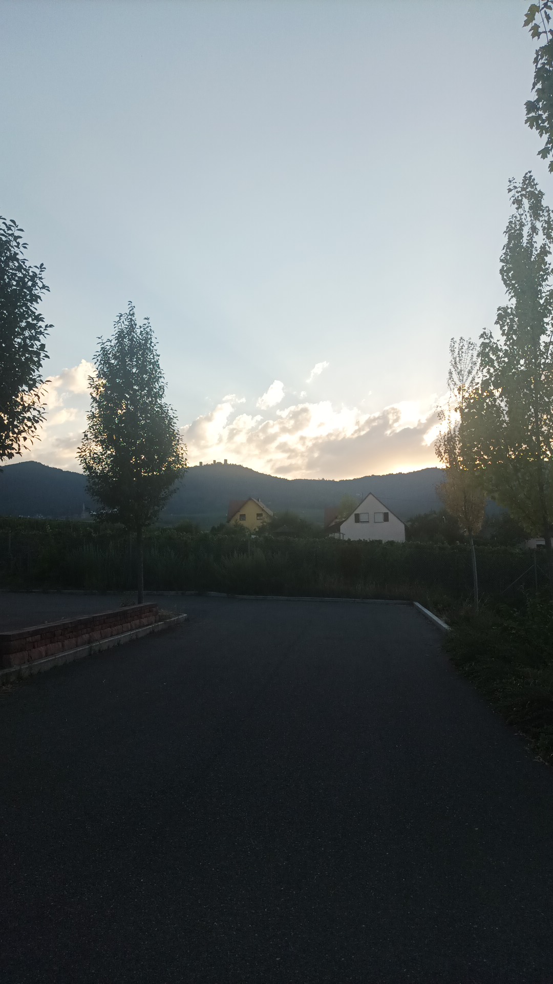 Photo n° 3 de l'avis de Evajaviy8patasmas. fait le 23/08/2023 à 21:28