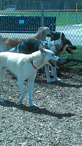 Dog Park «Bassett Creek Dog Park», reviews and photos, 32nd Ave N, Crystal, MN 55422, USA