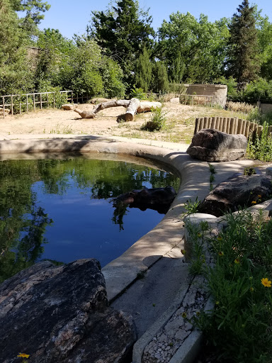 Zoo «Denver Zoo», reviews and photos, 2300 Steele St, Denver, CO 80205, USA