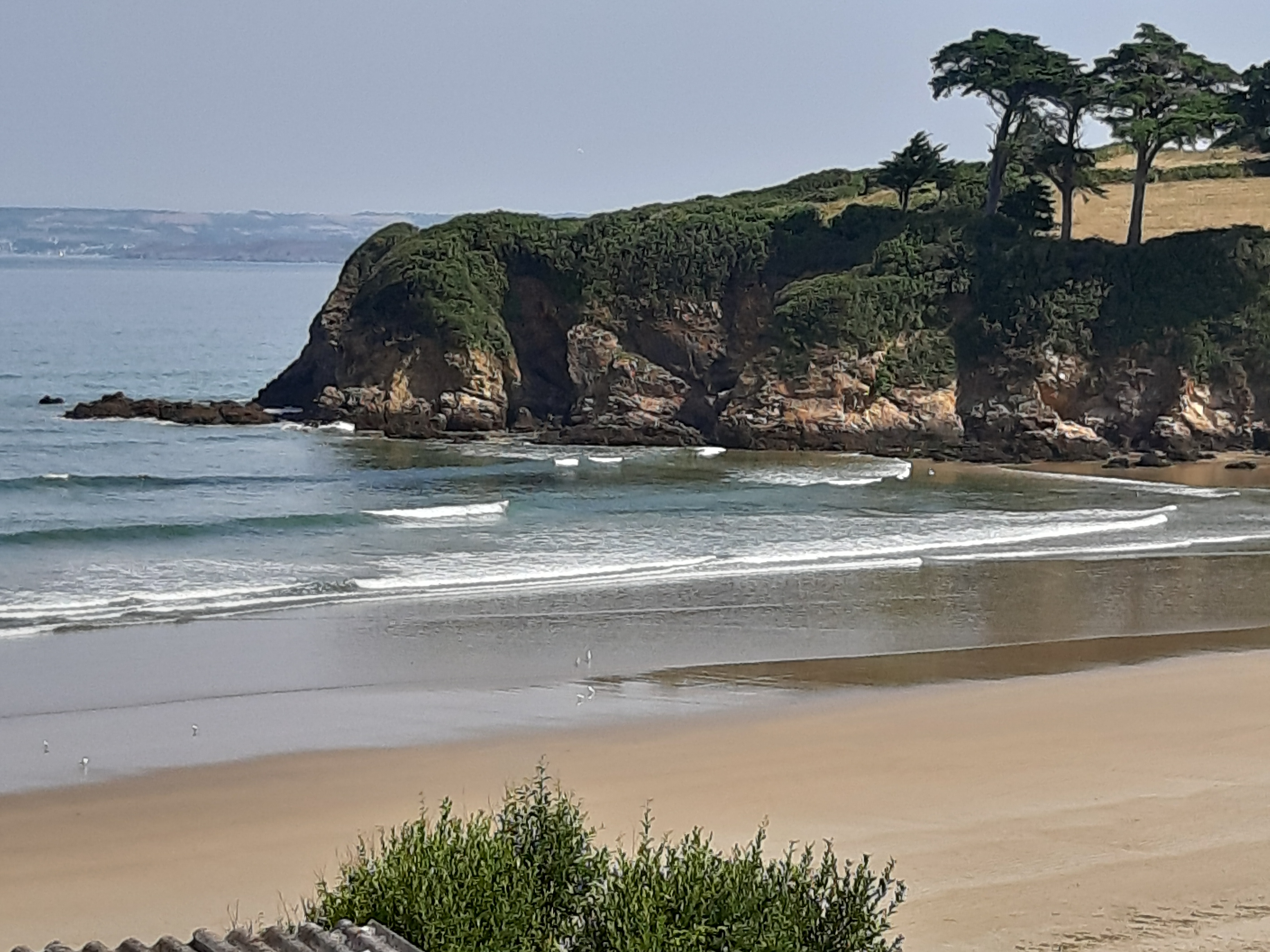 Photo n° 2 de l'avis de Marie.e fait le 04/08/2019 à 20:51