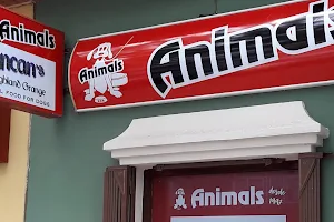 Animals image
