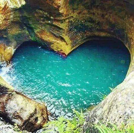 Art Museum «deCordova Sculpture Park and Museum», reviews and photos, 51 Sandy Pond Rd, Lincoln, MA 01773, USA