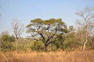 National Park of Upper Niger image
