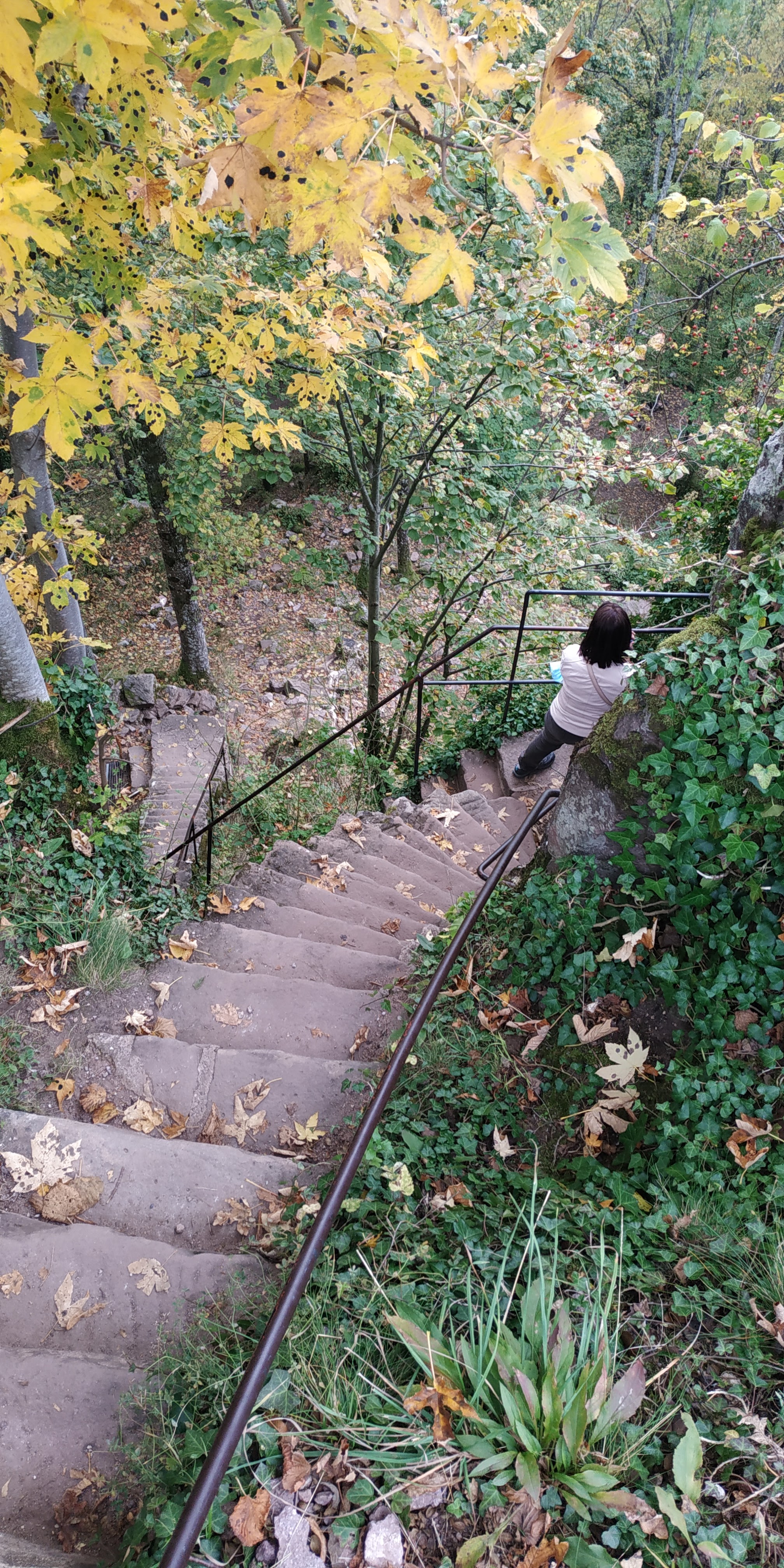 Photo n° 15 de l'avis de Sorti.u fait le 18/10/2021 à 08:32