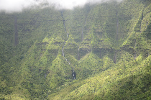 Gym «Planet Fitness», reviews and photos, 53 Marrows Rd, Newark, DE 19713, USA