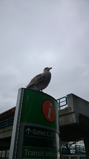 Book Store «Book Passage», reviews and photos, 1 Ferry Building # 42, San Francisco, CA 94111, USA