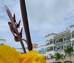 Hilton Playa del Carmen, an All-Inclusive Adult Only Resort photo