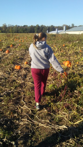 Florist «Bobola Farm & Florist», reviews and photos, 5268 Forrest Ave, Dover, DE 19904, USA