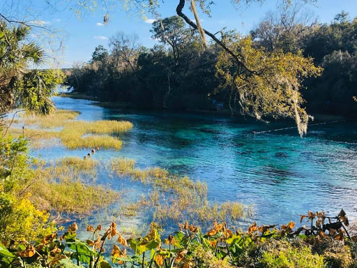 Travel Agency «Take Time To Travel», reviews and photos, 323 E Main St, Cartersville, GA 30120, USA