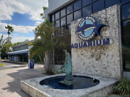 Aquarium «Mote Marine Laboratory & Aquarium», reviews and photos, 1600 Ken Thompson Pkwy, Sarasota, FL 34236, USA