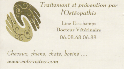 Dr Line Deschamps Vétérinaire pratiquant l'ostéopathie / Médecines alternatives et complémentaires à Maisdon-sur-Sèvre