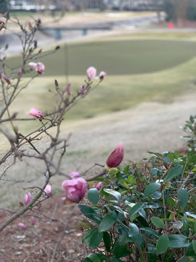 Private Golf Course «Ansley Golf Club», reviews and photos, 196 Montgomery Ferry Dr NE, Atlanta, GA 30309, USA