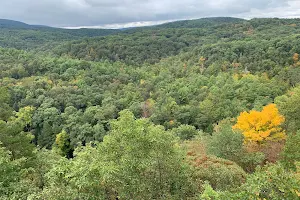Green Ridge State Forest image