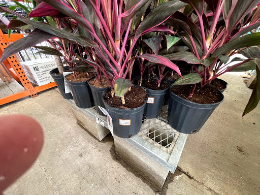 Home Improvement Store «The Home Depot», reviews and photos, 1789 Sidney Baker St, Kerrville, TX 78028, USA