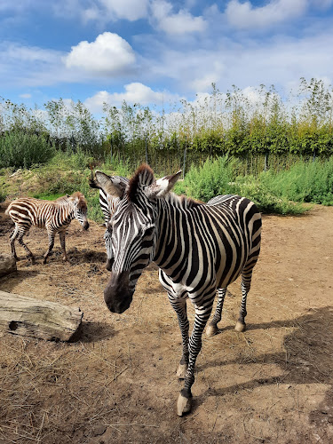 Zoo da Maia - Maia