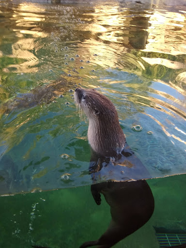 Zoo «Riverbanks Zoo and Garden», reviews and photos, 500 Wildlife Pkwy, Columbia, SC 29210, USA