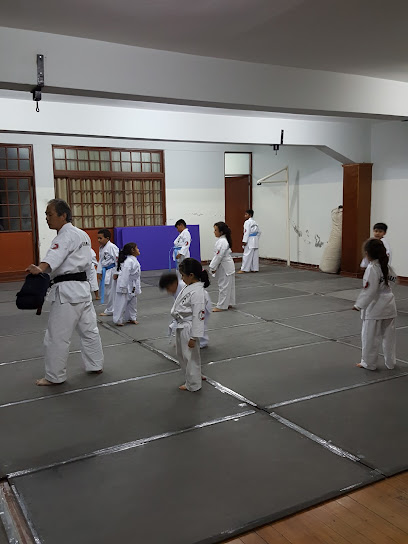 Enshin Karate Tacna