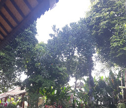 Astawa House photo