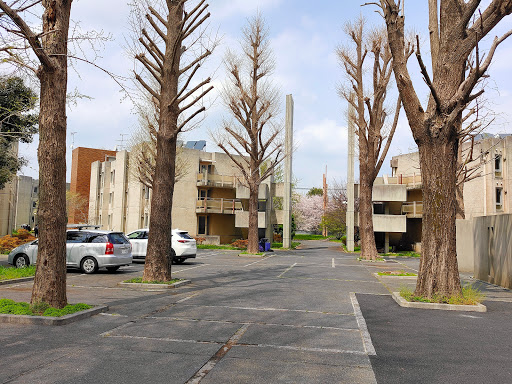 Student halls of residence Tokyo