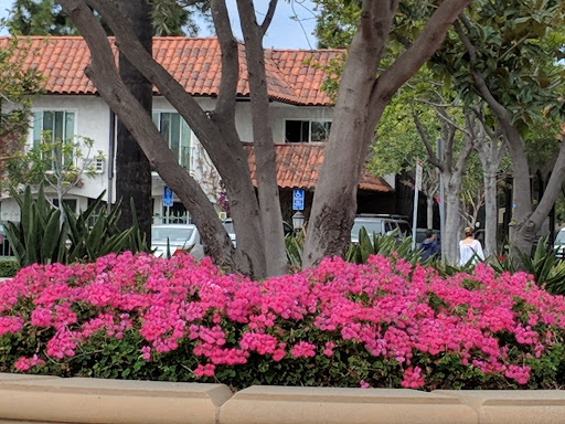 Fast Food Restaurant «Chick-fil-A», reviews and photos, 24011 El Toro Rd, Laguna Hills, CA 92653, USA